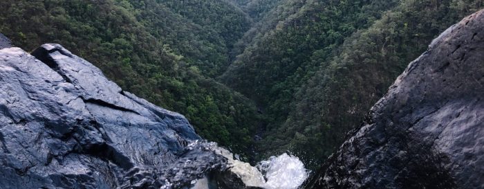 Indomie’s Australia East Coast Road Trip Part 2 : Beautiful Tropical Side of The Continent 1 Indomie’s Australia East Coast Road Trip Part 2 : Beautiful Tropical Side of The Continent 1